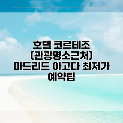 호텔 코르테조 (관광명소근처) 마드리드 아고다 최저가 예약팁