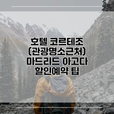 호텔 코르테조 (관광명소근처) 마드리드 아고다 할인예약 팁