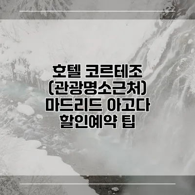 호텔 코르테조 (관광명소근처) 마드리드 아고다 할인예약 팁