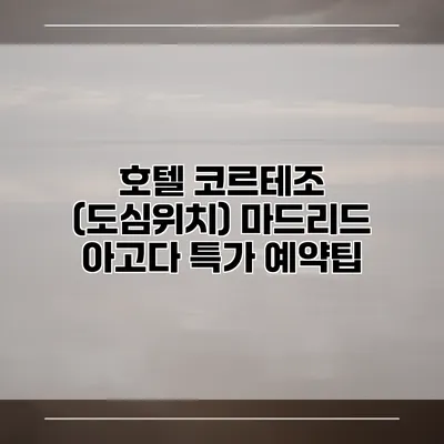 호텔 코르테조 (도심위치) 마드리드 아고다 특가 예약팁