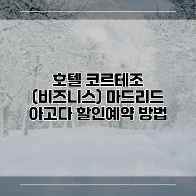 호텔 코르테조 (비즈니스) 마드리드 아고다 할인예약 방법