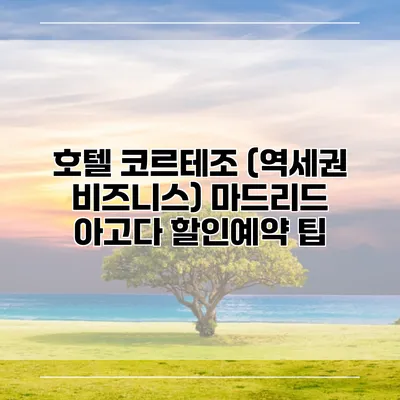 호텔 코르테조 (역세권 비즈니스) 마드리드 아고다 할인예약 팁