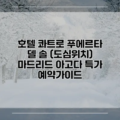 호텔 콰트로 푸에르타 델 솔 (도심위치) 마드리드 아고다 특가 예약가이드