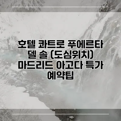 호텔 콰트로 푸에르타 델 솔 (도심위치) 마드리드 아고다 특가 예약팁