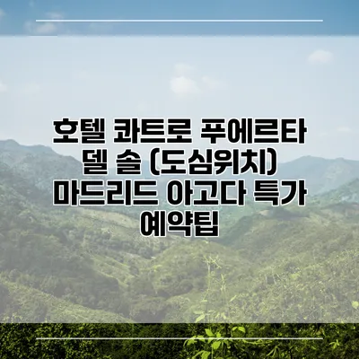 호텔 콰트로 푸에르타 델 솔 (도심위치) 마드리드 아고다 특가 예약팁